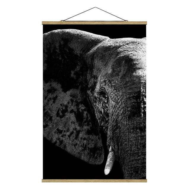 Stoffbild African Elephant Black and White Ebern Designs Größe: 75 cm H x 50 cm B x 0,3 cm T on Productcaster.