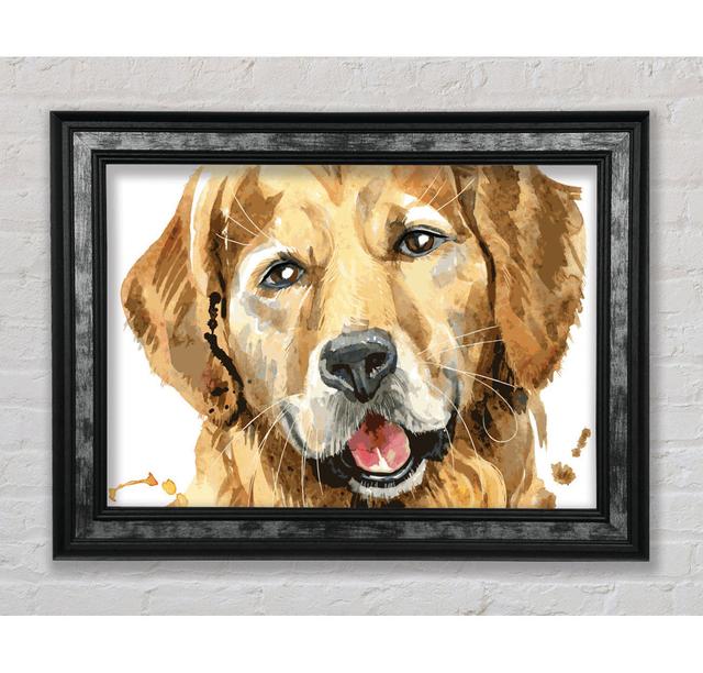 Labrador Happiness - Single Picture Frame Art Prints Bright Star Size: 84.1cm H x 142.2cm W x 8cm D on Productcaster.