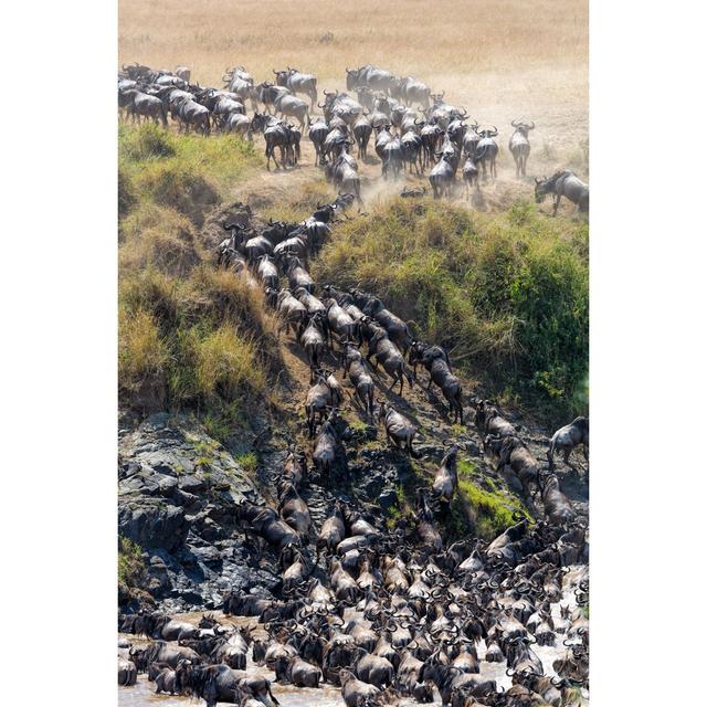 Great Wildebeest Migration In Kenya by 1001slide - No Frame Art Prints on Canvas Alpen Home Size: 30cm H x 20cm W on Productcaster.