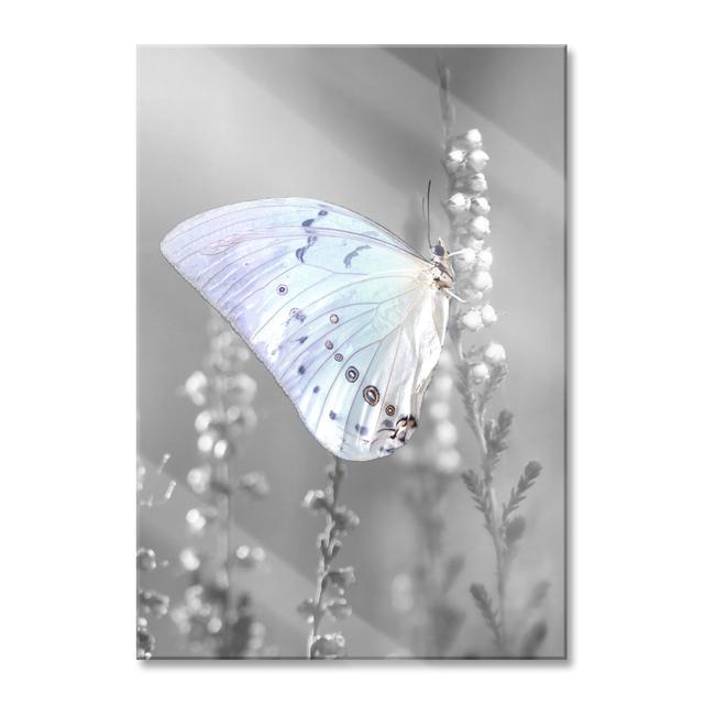 Ungerahmtes Foto auf Glas "Butterfly on Flower Buds" Brayden Studio Größe: 80cm H x 60cm B x 0,4cm T on Productcaster.