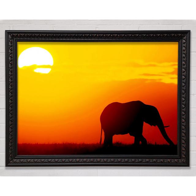 Silveren Elephant - Single Picture Frame Art Prints Bright Star Size: 21cm H x 29.7cm W on Productcaster.