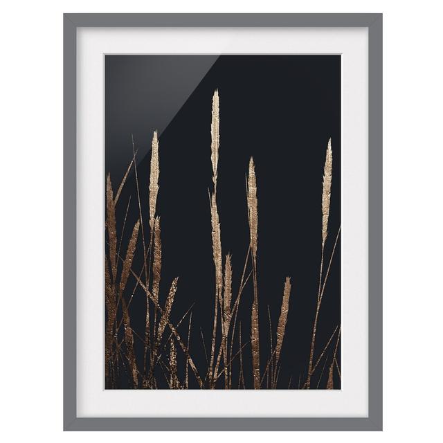 Flora - Golden Reed - Single Picture Frame Print Canora Grey Size: 70cm H x 50cm W x 2cm D, Format: Grey, Matte Colour: White on Productcaster.