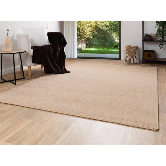 Solid Colour Beige Area Rug Latitude Run Rug Size: Rectangular 240 x 290 cm on Productcaster.