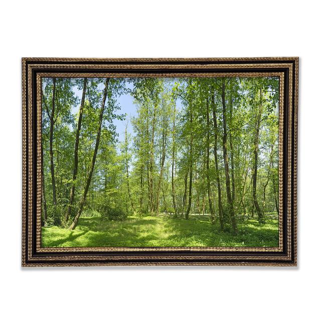 Greenland Forest Alpen Home Format: Black Framed Wood, Size: 59.7cm H x 84.1cm W x 3cm D on Productcaster.