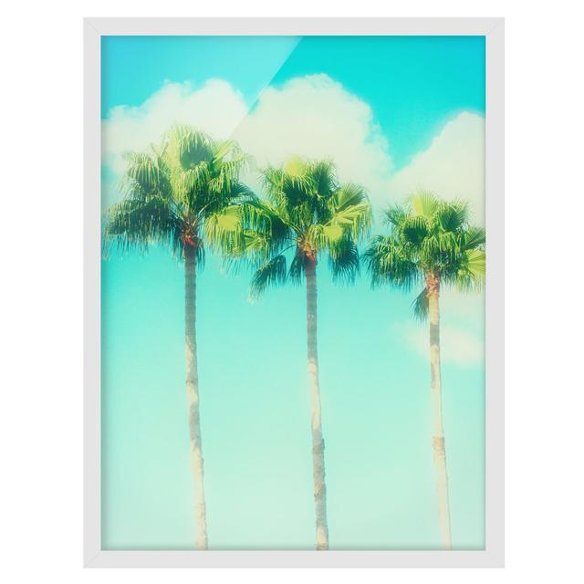 Palm Trees in Front of Sky Blue - Picture Frame Photograph Bay Isle Home Size: 100cm H x 70cm W x 2cm D, Frame Option: White Framed on Productcaster.