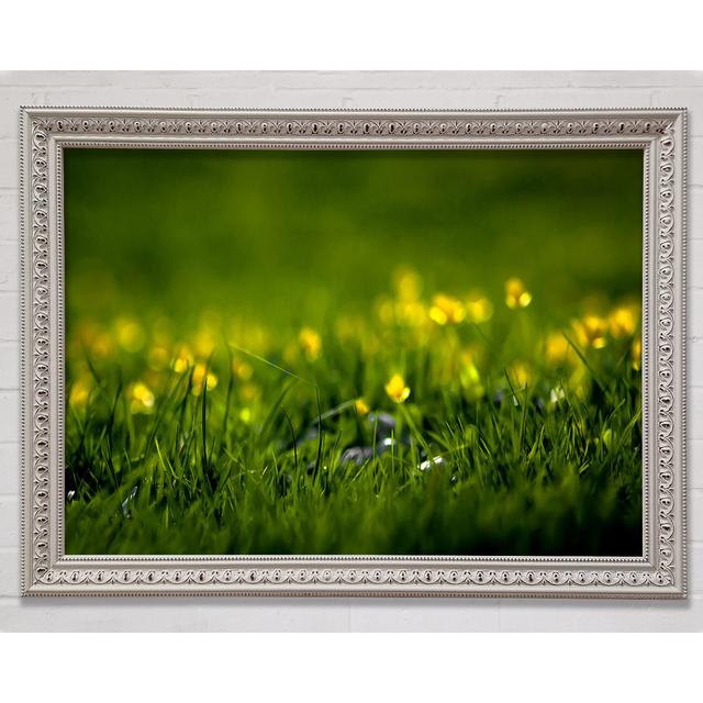 Summer Grass Framed Print Ebern Designs Format: White Framed Paper, Size: 84.1cm H x 118.9cm W x 3cm D on Productcaster.