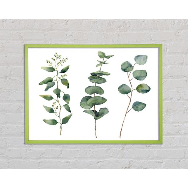 Paladino Three Green Foliage Stems - Single Picture Frame Art Prints Sommerallee Größe: 21 cm H x 29,7 cm B x 2 cm T on Productcaster.