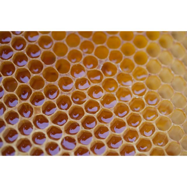 Arsdale Honeycomb by M_d_pace - Wrapped Canvas Photograph Latitude Run Size: 81cm H x 122cm W x 3.8cm D on Productcaster.