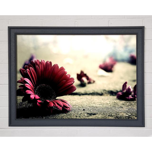 Single Picture Frame Art Prints Ebern Designs Size: 21cm H x 29.7cm W on Productcaster.