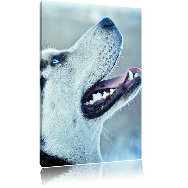 Leinwandbild Husky von der Seite, Fotodruck Pixxprint Größe: 80 cm H x 60 cm B on Productcaster.