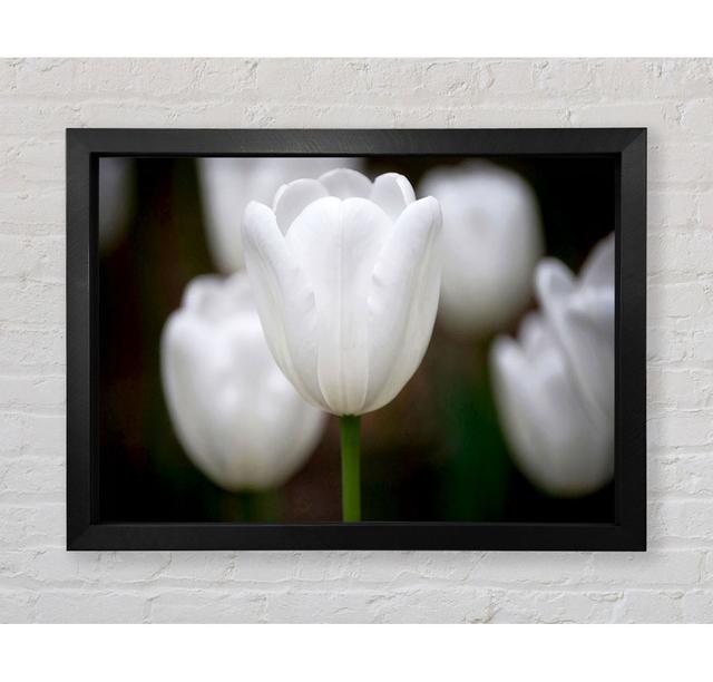 Single Picture Frame Art Prints Ebern Designs Size: 59.1cm H x 84.1cm W x 3.4cm D, Format: Black Framed Paper on Productcaster.