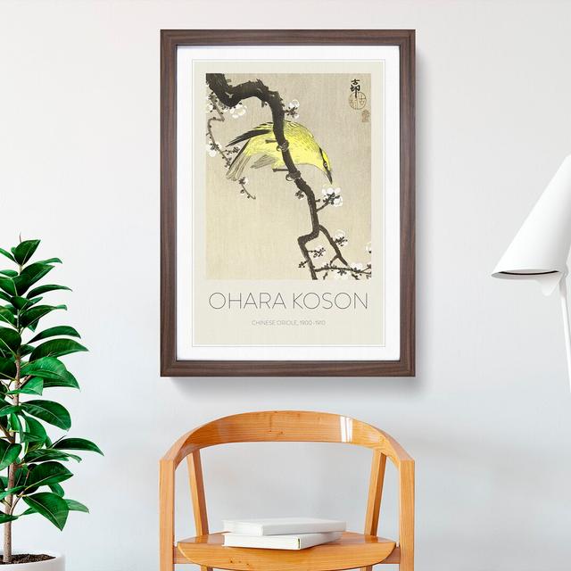 Chinese Oriole Bird on a Plum Blossom by Ohara Koson - Picture Frame Art Prints East Urban Home Frame Option: Walnut, Size: 65cm H x 48cm W x 2cm D on Productcaster.