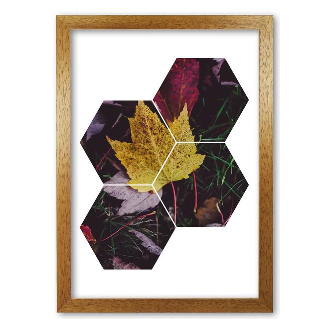 Leaf and Grass Abstract Hexagons - Picture Frame Graphic Art Print on Paper East Urban Home Size: 85 cm H x 60 cm W x 5 cm D, Format: Honey Oak Frame on Productcaster.