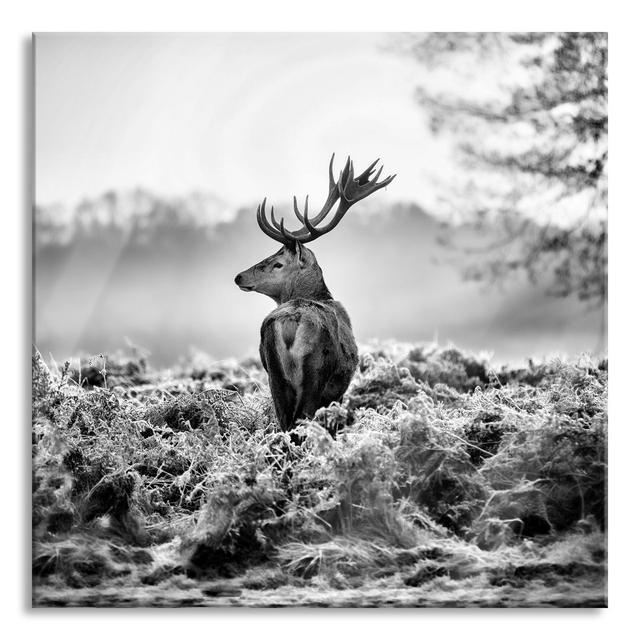 Proud Deer - Unframed Photograph on Glass Union Rustic Size: 60cm H x 60cm W x 0.4cm D on Productcaster.