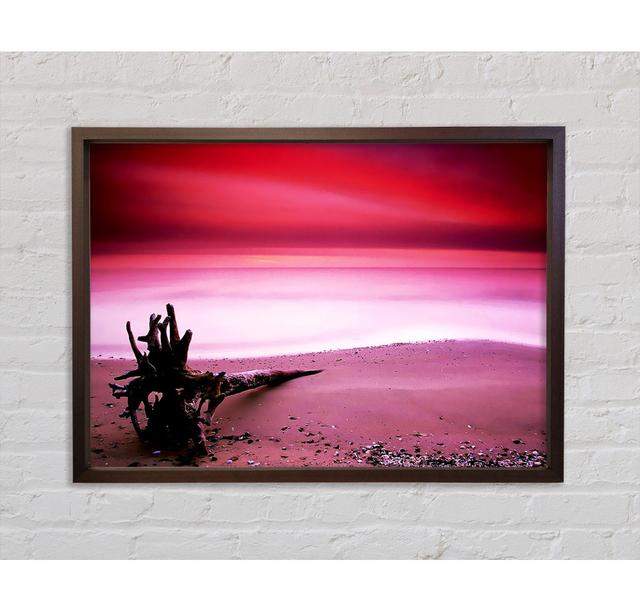 Pink Ocean Calm - Single Picture Frame Art Prints on Canvas Bright Star Size: 100cm H x 141.4cm W on Productcaster.