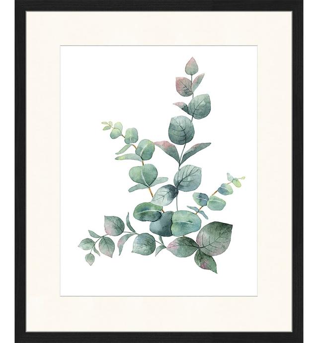 Eucalyptus Leaves - Picture Frame Graphic Art Print on Paper August Grove Size: 83cm H x 63cm W x 2.5cm D on Productcaster.