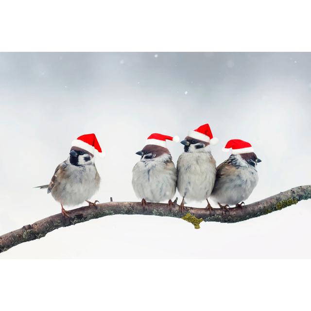 Funny Christmas Birds by Nataba - Wrapped Canvas Print The Seasonal Aisle Size: 51cm H x 76cm W on Productcaster.