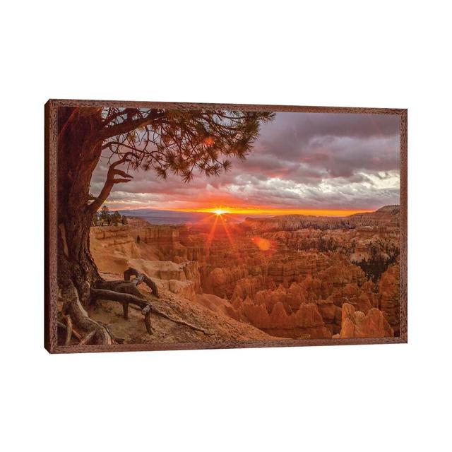 USA, Utah, Bryce Canyon National Park. Sunrise on Canyon. by Jaynes Gallery - Photograph Print on Canvas Union Rustic Size: 101.6cm H x 152.4cm W x 3. on Productcaster.