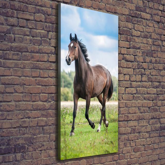 Horse on the Field - Wrapped Canvas Art Prints August Grove on Productcaster.