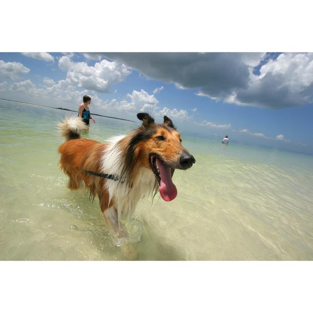 Dog In Ocean - Wrapped Canvas Print Ebern Designs Size: 81cm H x 122cm W x 3.8cm D on Productcaster.