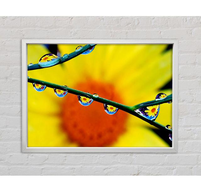 Dewdrop Reflections - Single Picture Frame Art Prints on Canvas Bright Star Size: 59.7cm H x 84.1cm W x 3.3cm D on Productcaster.