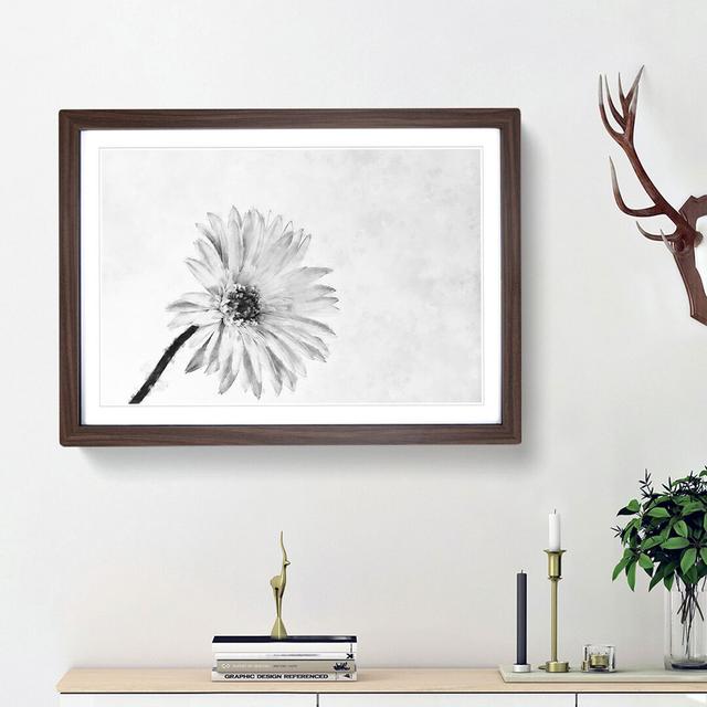 Flower Sketch - Picture Frame Graphic Art Print East Urban Home Frame Option: Walnut Framed, Size: 24cm H x 33cm W x 2cm D on Productcaster.