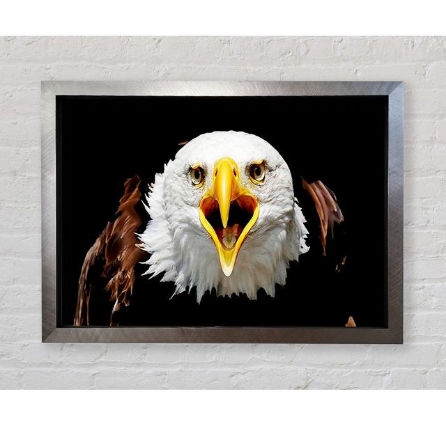 Eagle Talk - Single Picture Frame Art Prints Bright Star Size: 100cm H x 141.4cm W x 3.4cm D on Productcaster.