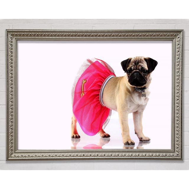 Pug Dog Tutu Framed Print Happy Larry Size: 100cm H x 141.4cm W on Productcaster.