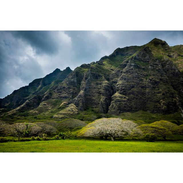 Kualoa Ranch In Oahu by VisualCommunications - Wrapped Canvas Art Prints Alpen Home Size: 81cm H x 122cm W x 3.8cm D on Productcaster.