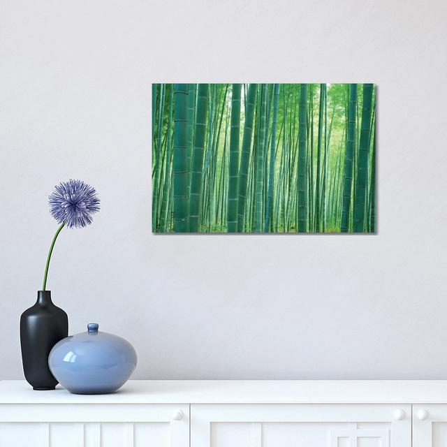 Bamboo Forest, Sagano, Kyoto, Japan by Panoramic Images - Wrapped Canvas Print 17 Stories Size: 30.48cm H x 45.72cm W x 1.91cm D on Productcaster.