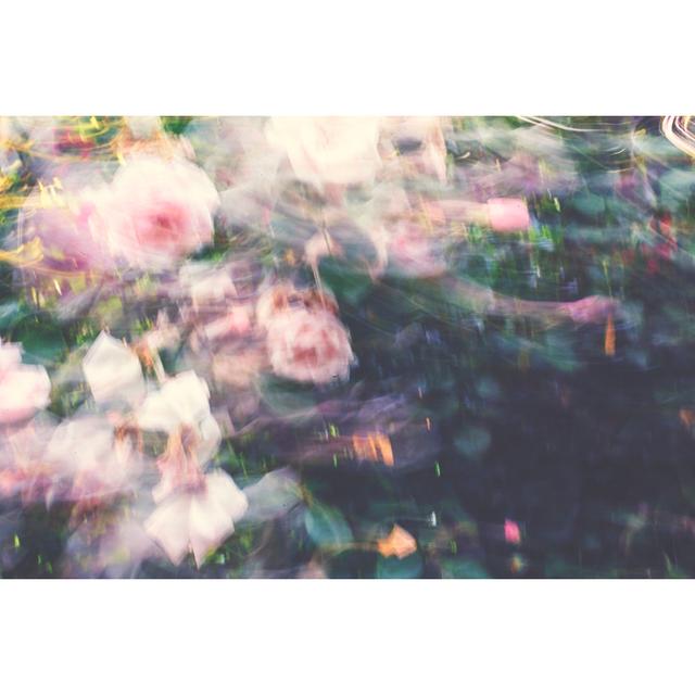 Garden Rose With Motion Blur by Rike - Wrapped Canvas Art Prints Metro Lane Size: 80cm H x 120cm W on Productcaster.