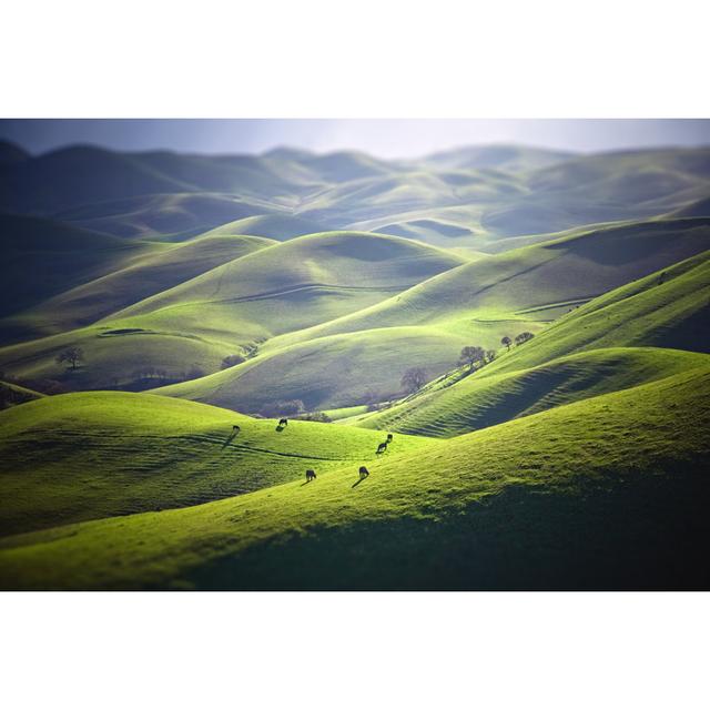 Cattle Grazing On Grassy Hills - Wrapped Canvas Art Prints Alpen Home Size: 81cm H x 122cm W x 3.8cm D on Productcaster.