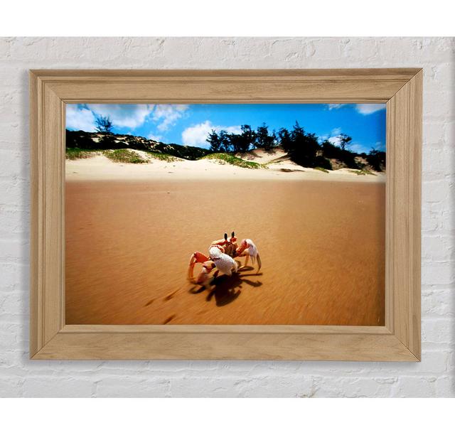 Single Picture Frame Art Prints Bright Star Size: 21cm H x 42cm W on Productcaster.