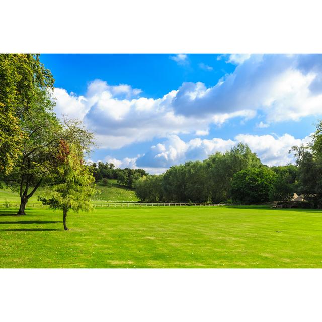 Green Field by Voyagerix - Wrapped Canvas Photograph Marlow Home Co. Size: 20cm H x 30cm W on Productcaster.