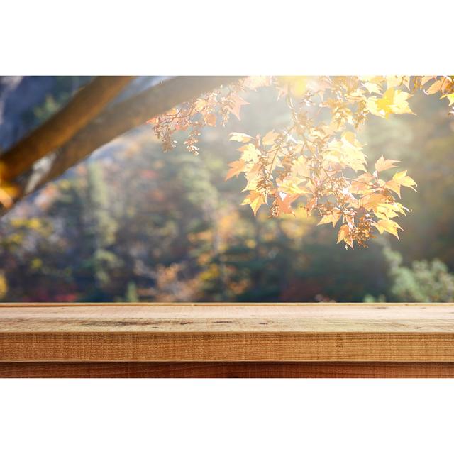 Wooden Table And Blur Autumn Forest Background, Selective Focus. Ebern Designs Size: 20cm H x 30cm W x 3.8cm D on Productcaster.