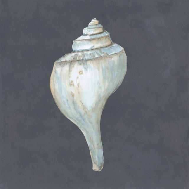 Shell On Slate IV By Megan Meagher - Wrapped Canvas Painting Print House of Hampton Size: 76cm H x 76cm W on Productcaster.