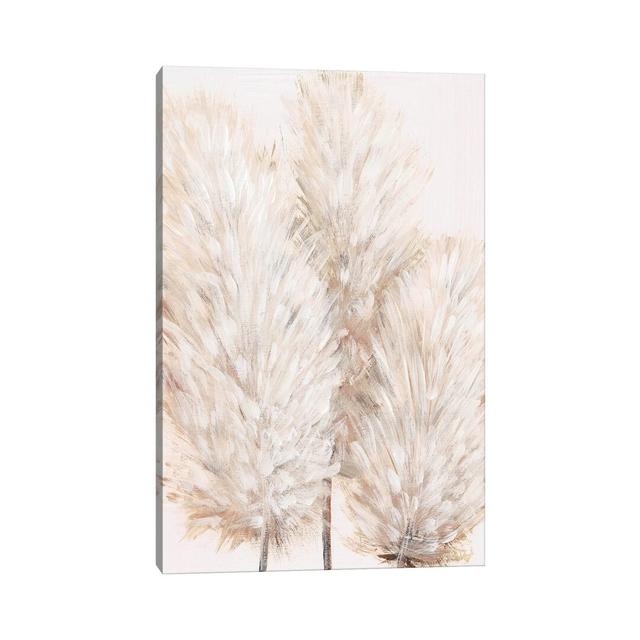 Pampas Grass IV by Tim OToole - Wrapped Canvas Painting ClassicLiving Size: 45.72cm H x 30.48cm W x 1.9cm D on Productcaster.