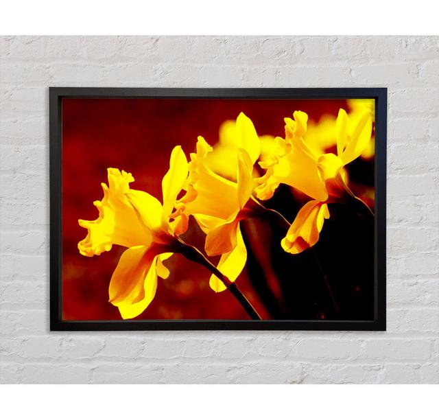 Golden Daffodil Parade - Print Brayden Studio Format: Black Framed Canvas, Size: 59.7cm H x 84.1cm W x 3.3cm D on Productcaster.