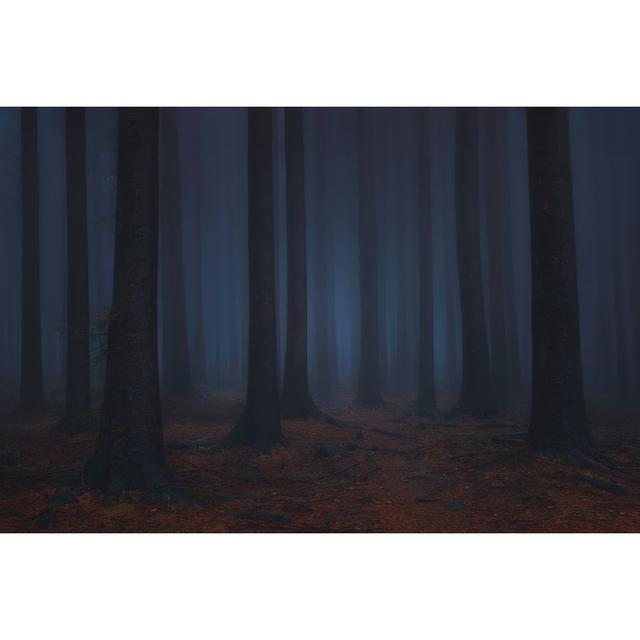 Dark And Scary Fantasy Dreamy Forest by Mimadeo - Wrapped Canvas Print Union Rustic Size: 81cm H x 122cm W x 3.8cm D on Productcaster.