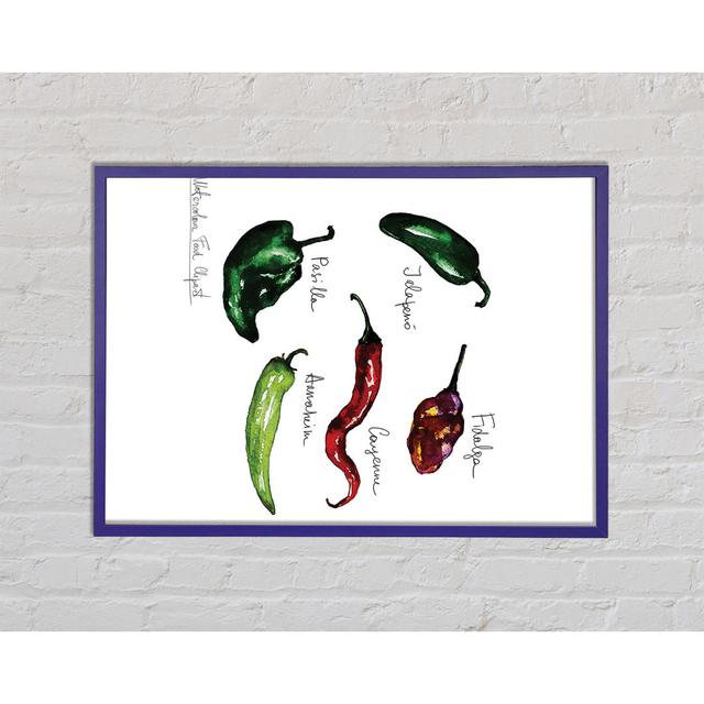 Chili Names Framed Print - Picture Frame Graphic Art on Canvas Latitude Vive Format: Purple Framed Paper, Size: 84.1cm H x 59.7cm W x 2cm D on Productcaster.