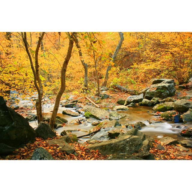 Ugarte Fall Landscape - Wrapped Canvas Print Alpen Home Size: 61cm H x 91cm W x 3.8cm D on Productcaster.