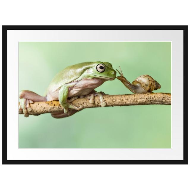 Gerahmtes Poster Der Frosch und die Schnecke East Urban Home Größe: 60 cm H x 80 cm B on Productcaster.