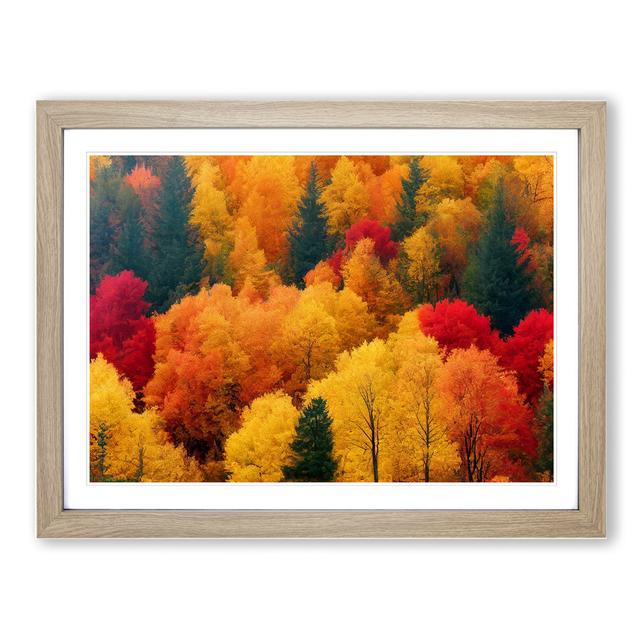 Sumptuous Autumn Forest - Single Picture Frame Print Alpen Home Frame Colour: Oak Framed, Size: 25cm H x 34cm W x 2cm D on Productcaster.