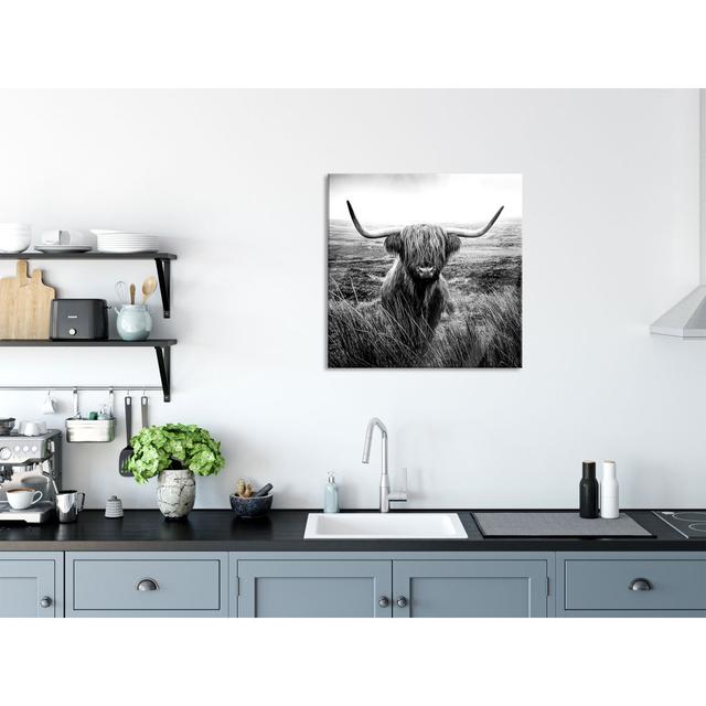 Highland Cattle With Big Horns - No Frame Print on Glass Gracie Oaks Size: 60cm H x 60cm W x 0.4cm D on Productcaster.