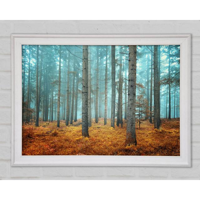 Misty Forest Glow - Single Picture Frame Art Prints Union Rustic Size: 29.7cm H x 42cm W x 1.5cm D on Productcaster.