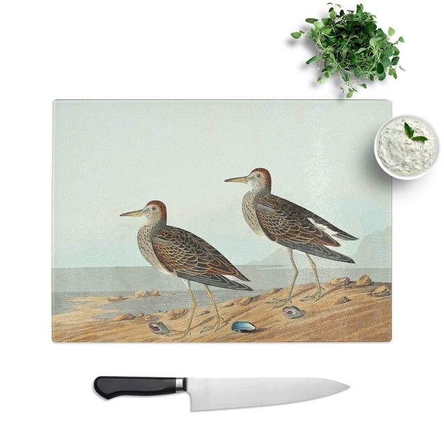 Tempered Glass Pectoral Sandpipers by John James Audubon Chopping Board East Urban Home Size: 39 cm W x 28.5 cm L on Productcaster.