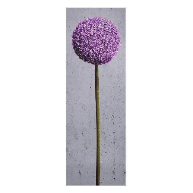 Allium Flowers Photographic Print on Canvas East Urban Home on Productcaster.