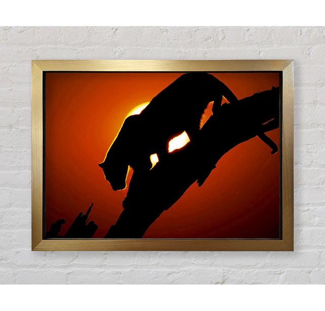 Single Picture Frame Art Prints Bright Star Size: 100cm H x 141.4cm W on Productcaster.