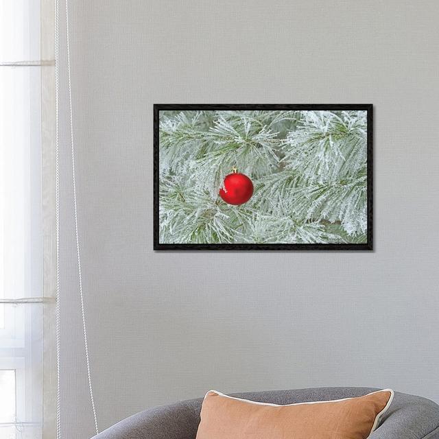 Red Ornament And Rime Frost by Brian Wolf - Gallery-Wrapped Canvas Giclée on Canvas Lark Manor Format: Black Floater Frame, Size: 45.72cm H x 66.04cm on Productcaster.