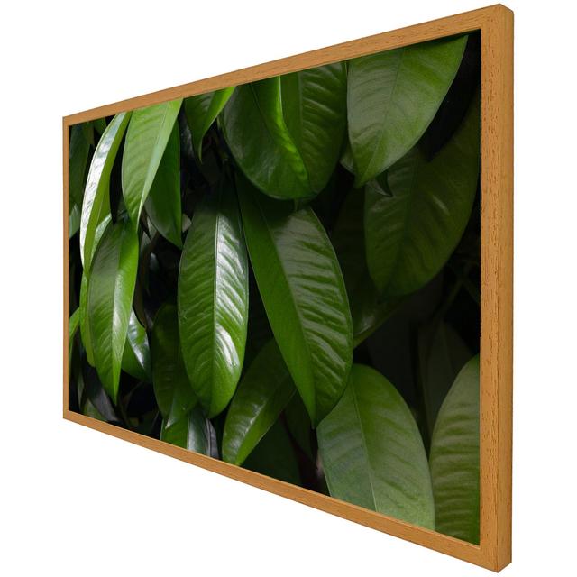 Aadriti Print Bay Isle Home Frame Option: Oak Framed, Size: 51cm H x 76cm W x 4cm D on Productcaster.